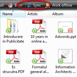 Offline Files
