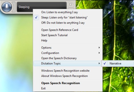 Windows Speech Recognition